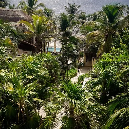 Hotel Azucar 3*
