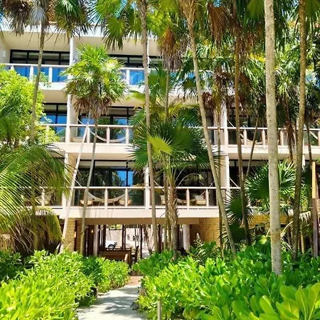 Azucar Hotel