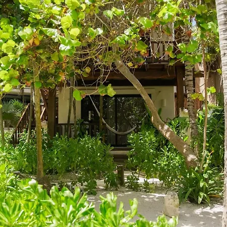 Azucar Tulum