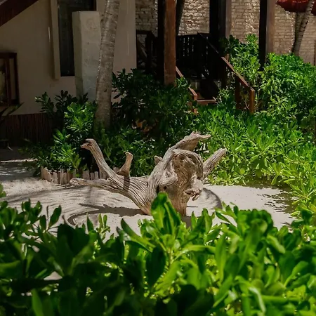 Hotel Azucar