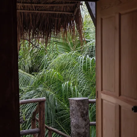 Casa Coyote Hotel 3*