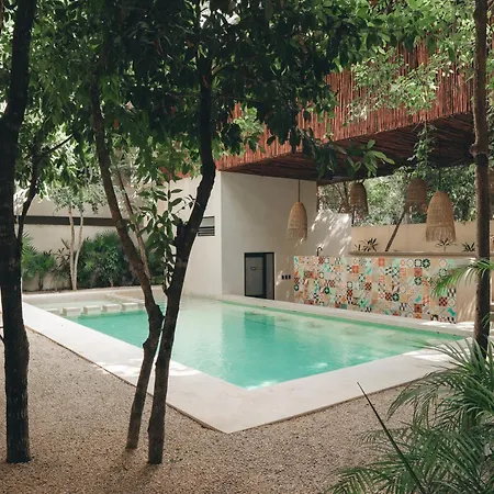 Stylish 3bd3ba In Tulum's Neighborhood Tulum