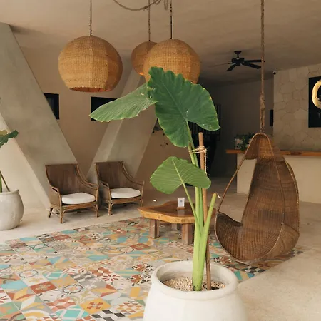 Stylish 3bd3ba In Tulum's Neighborhood * Tulum