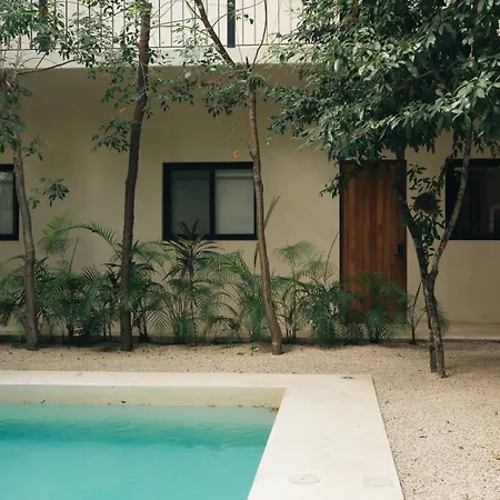 Stylish 3bd3ba In Tulum's Neighborhood Holiday home *
