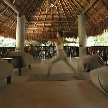 Stylish 3bd3ba In Tulum's Neighborhood * Tulum