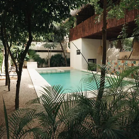 Stylish 3bd3ba In Tulum's Neighborhood * Tulum