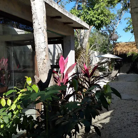 Capsule hotel Awa Eco Retreat Tulum Tulum