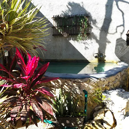 Awa Eco Retreat Tulum Tulum