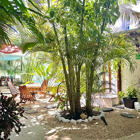 Pacha Boutique Hotel 4*