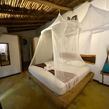 Hotel Pacha Boutique