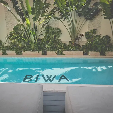 Biwa 4*
