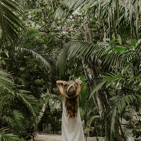 Coco Unlimited Tulum