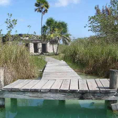 Apartment In The Heart Of - Location In Town Tulum