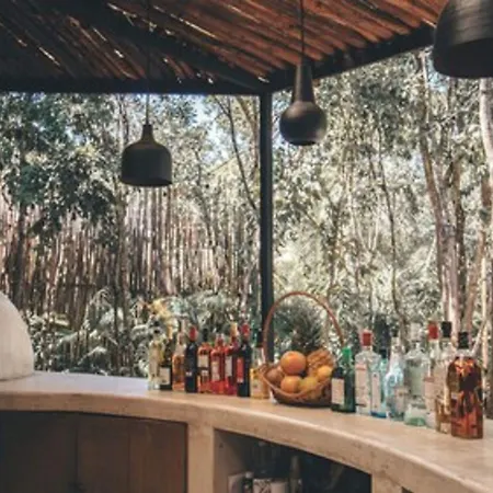 Hotel Vida Tulum