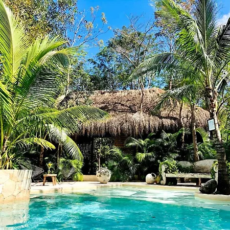 Hotel Vida Tulum