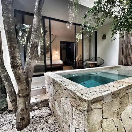 Hotel Vida