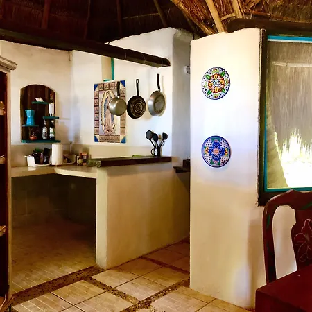 Nueva Vida De Ramiro Tulum