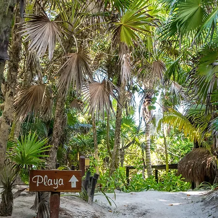 Nueva Vida De Ramiro Hotel Tulum
