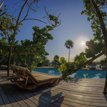 Pocna Tulum