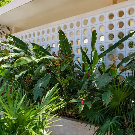 Tiki Tiki Hotel Tulum