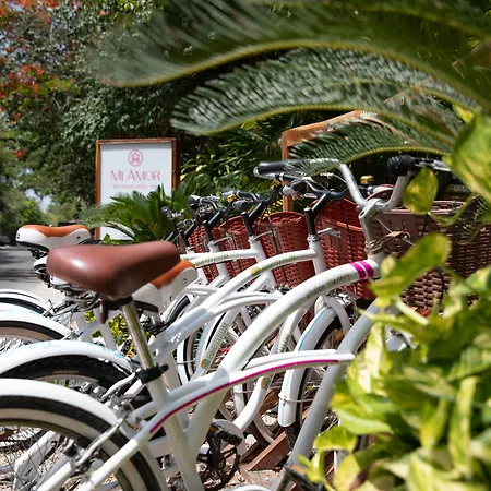 Hotel Mi By La Zebra, An Slh (adults Only) Tulum