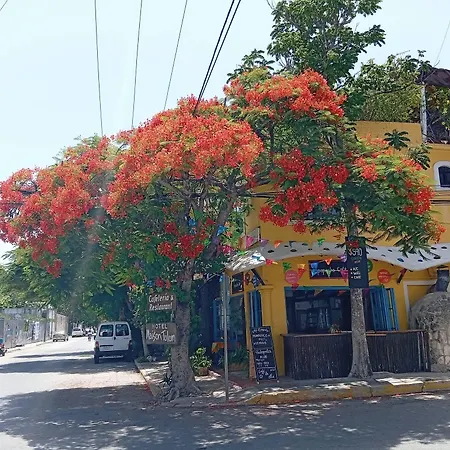 Hotel Maison 3*