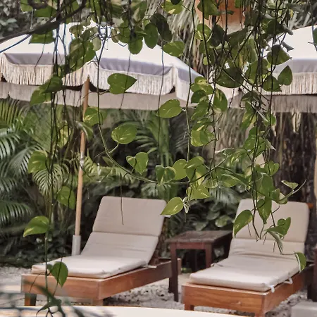 Hotel Boutique 06 (adults Only) Tulum