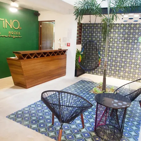 Hotel Collection O Latino Boutique Tulum 3*