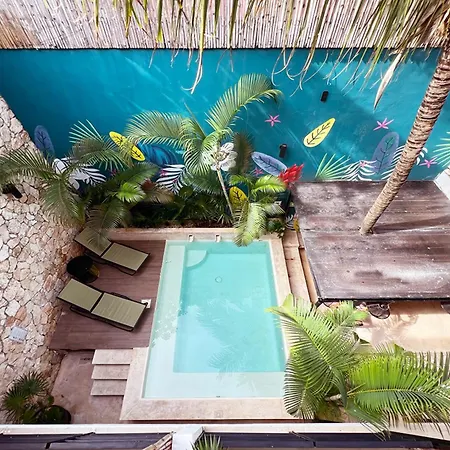 Collection O Latino Boutique Tulum