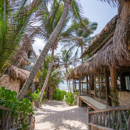 Hotel Ahau Beachfront (adults Only)