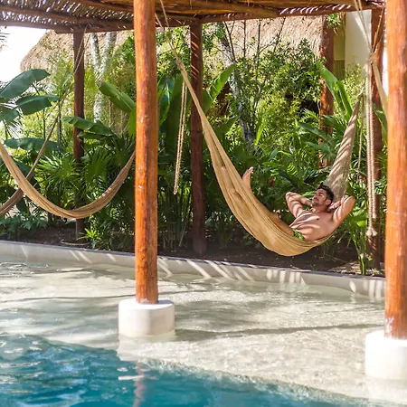 Zenses Wellness And Yoga - Adults Only 4*