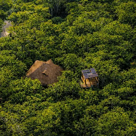 Treehouse H2ojos Tulum