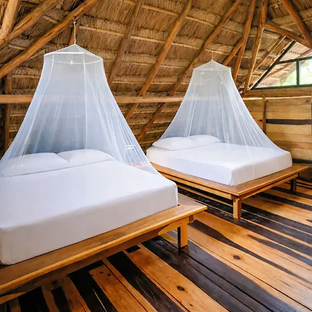 Treehouse H2ojos Tulum