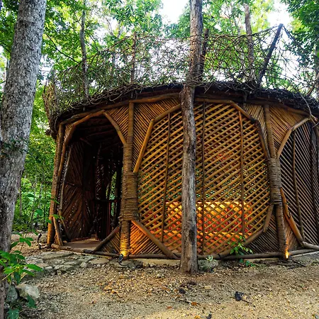 Kuun Taak