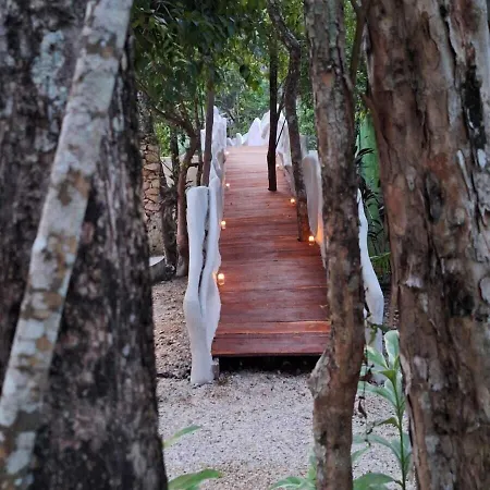 Kuun Taak