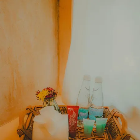 Estrellas - Located At The Party Zone Tulum