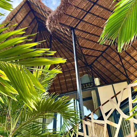 Hotel Bufo Alvarius Tulum