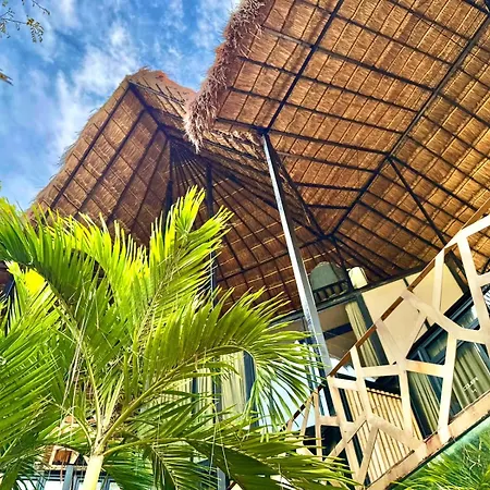 Bufo Alvarius Hotel