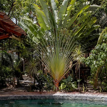 Botanica * Tulum