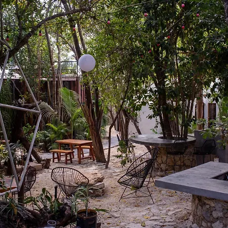 Hotel Botanica *