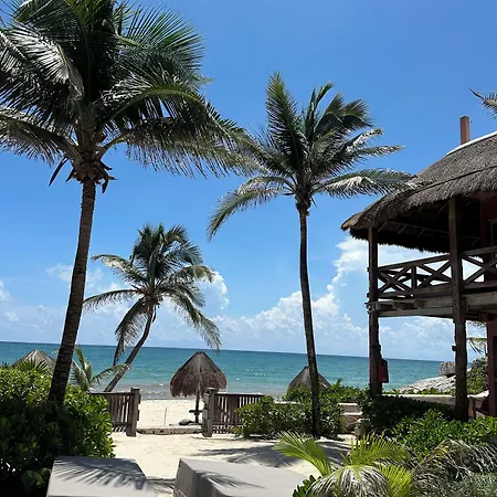 Hotel La Conchita (adults Only) Tulum
