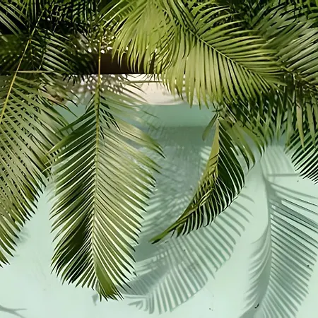 Seremonia Origen * Tulum