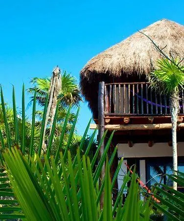 Lodge Playa Selva