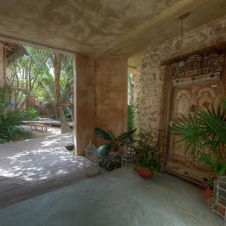 Life Source Retreats Hotel Tulum