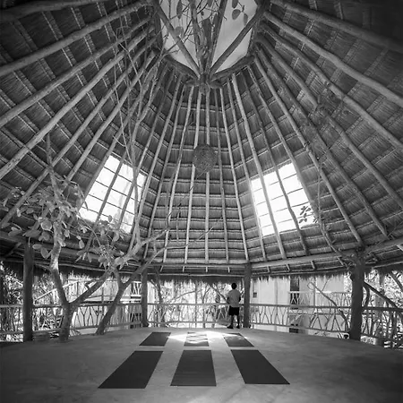 Life Source Retreats 5* Tulum