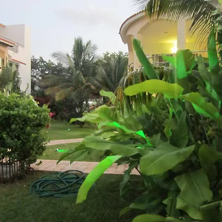 Blueberry Luxury Apartment Tulum
