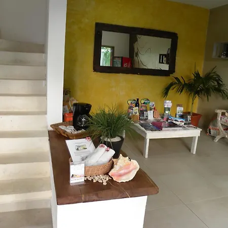 Hotel Luna Llena 3*