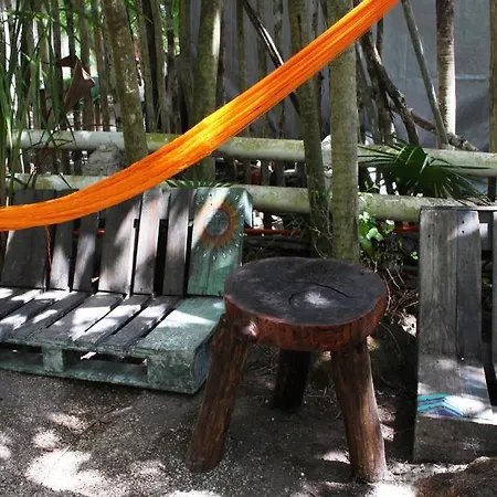Maya Y Cenote Tulum