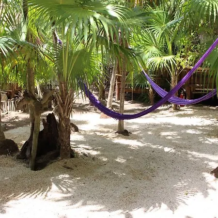Hotel Maya Y Cenote 2*