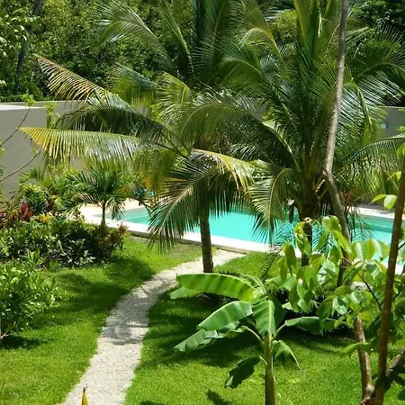 Apartment Cozy And Pool *